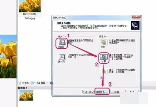 acdsee 3.1 绿色2024版 acdsee 3.1 绿色2024版