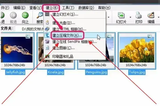 acdsee 3.1 绿色2024版 acdsee 3.1 绿色2024版