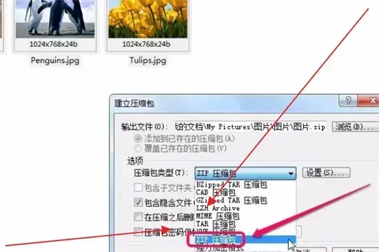 acdsee 3.1 绿色2024版 acdsee 3.1 绿色2024版