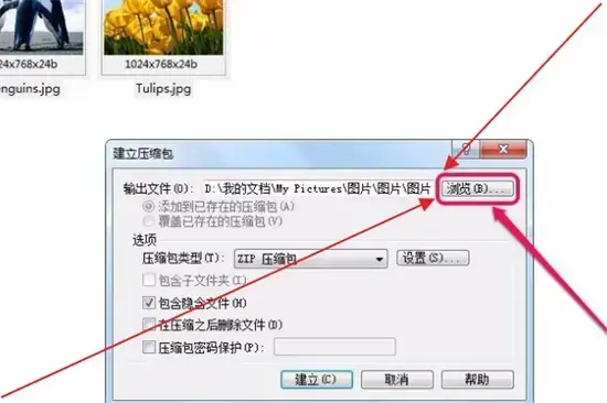 acdsee 3.1 绿色2024版 acdsee 3.1 绿色2024版