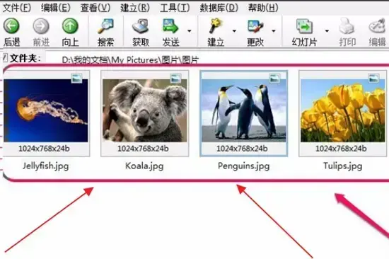 acdsee 3.1 绿色2024版 acdsee 3.1 绿色2024版