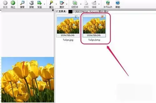 acdsee 3.1 绿色2024版 acdsee 3.1 绿色2024版