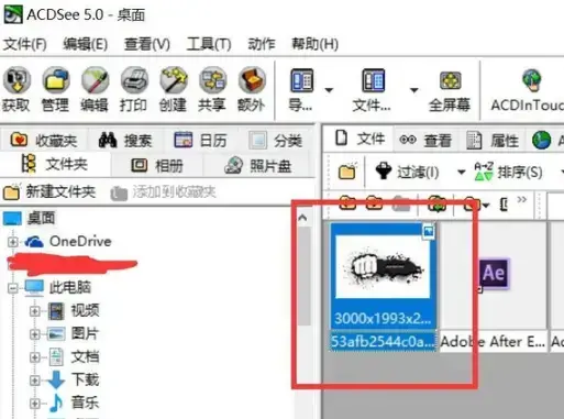 acdsee中文2024版v5.0 应用