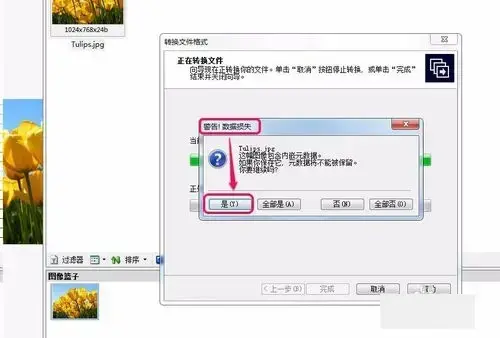 acdsee 3.1 绿色2024版 acdsee 3.1 绿色2024版