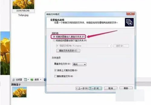 acdsee 3.1 绿色2024版 acdsee 3.1 绿色2024版