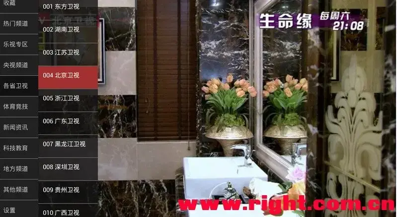 龙龙直播电视版