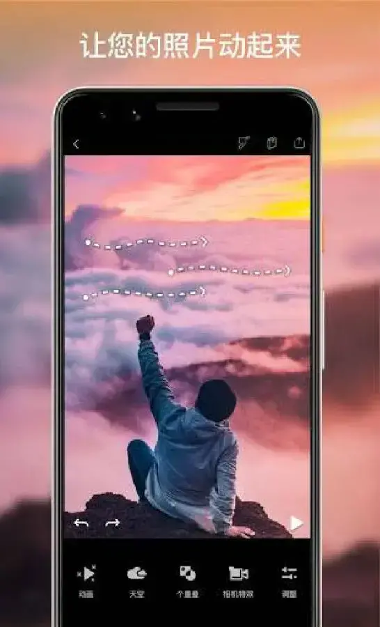 pixaloop专业版