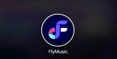 flymusic音乐