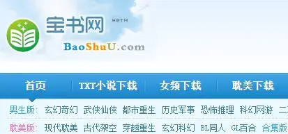 宝书网小说txt免费