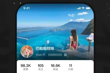 VTalk app