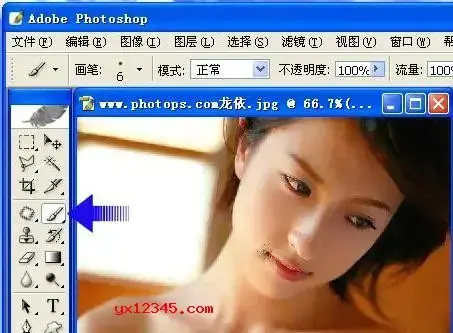 ps毛笔笔触包