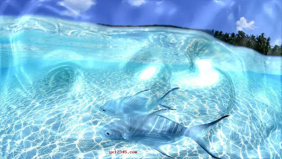 3d水纹屏保