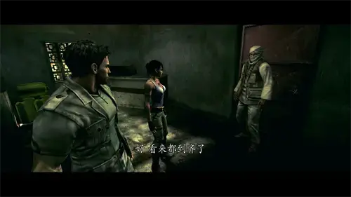 生化危机5黄金版绿色版