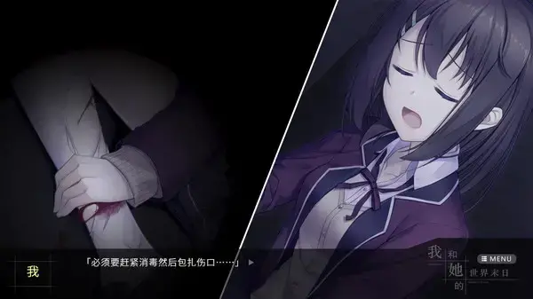 我和她的世界末日完整版