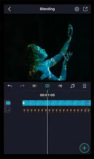 alight motion正版