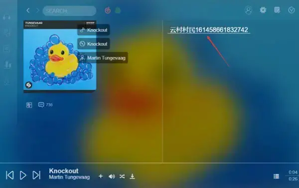 soso音乐电脑版