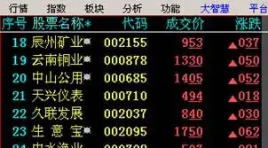 国泰君安大智慧