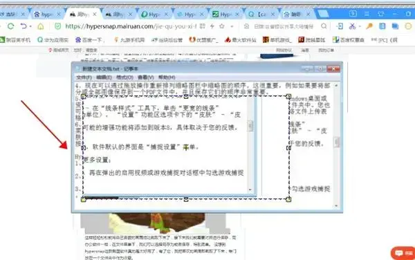 HyperSnap绿色版