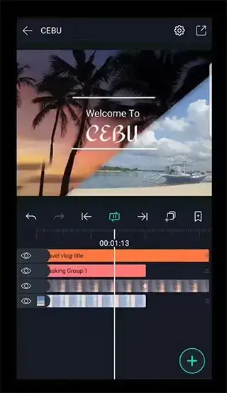 alight motion正版