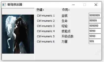 秦殇修改器
