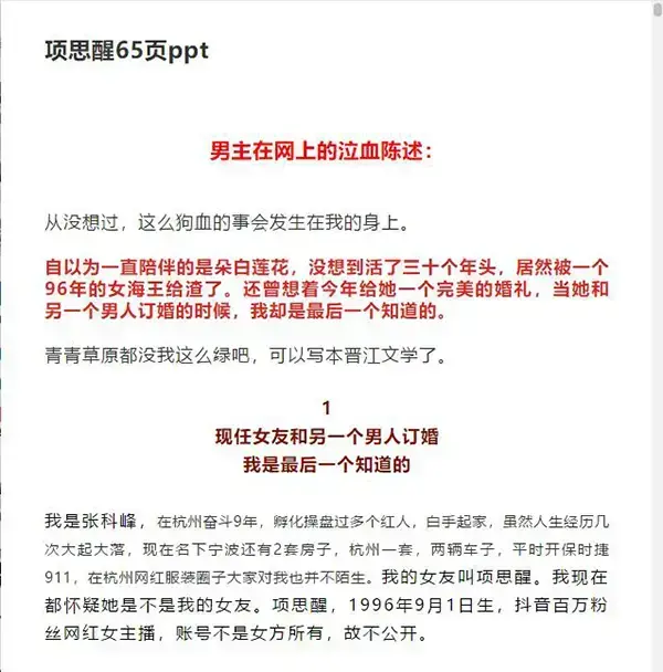 项思醒65页