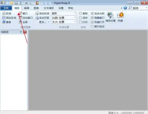 HyperSnap绿色版