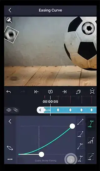 alight motion正版