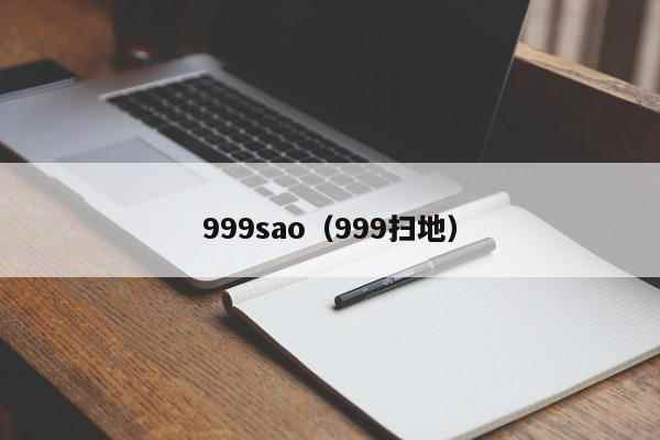 999sao（999扫地）