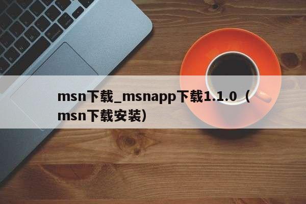 msn下载_msnapp下载1.1.0（msn下载安装）