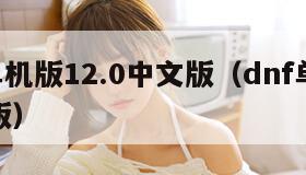dnf单机版12.0中文版（dnf单机版最新版）