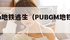 pubgm地铁逃生（PUBGM地铁逃生视频）