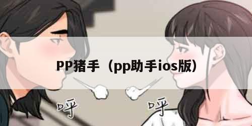 PP猪手（pp助手ios版）