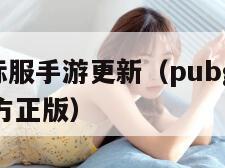PUBG国际服手游更新（pubg国际服手游下载官方正版）