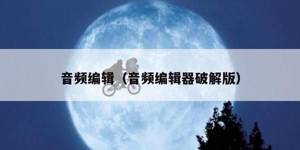 音频编辑（音频编辑器破解版）