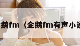 企鹅fm（企鹅fm有声小说）