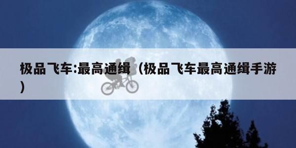 极品飞车:最高通缉（极品飞车最高通缉手游）