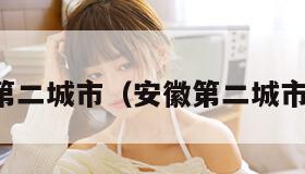 第二城市（安徽第二城市）