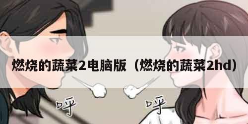 燃烧的蔬菜2电脑版（燃烧的蔬菜2hd）