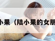 陆小果（陆小果的女朋友）