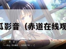 赤道西瓜影音（赤道在线观看完整）