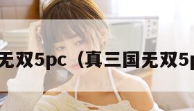 真三国无双5pc（真三国无双5pc按键）