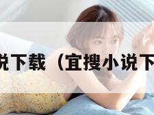 宜搜小说下载（宜搜小说下载安装）