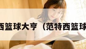 范特西篮球大亨（范特西篮球游戏）