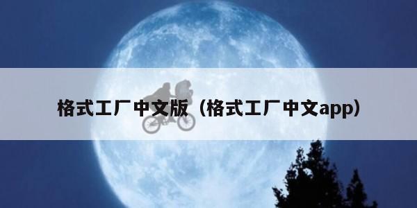 格式工厂中文版（格式工厂中文app）