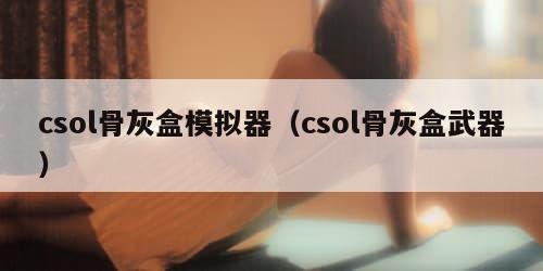 csol骨灰盒模拟器（csol骨灰盒武器）