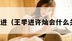 王季进（王季进许灿会什么关系）