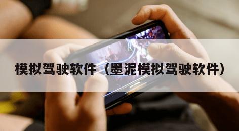 模拟驾驶软件（墨泥模拟驾驶软件）