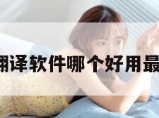 翻译软件（翻译软件哪个好用最准确免费的）