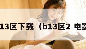 b13区下载（b13区2 电影）