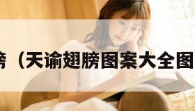 天谕翅膀（天谕翅膀图案大全图片2023）